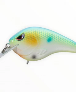 Hard Baits Spro Fat Papa SB