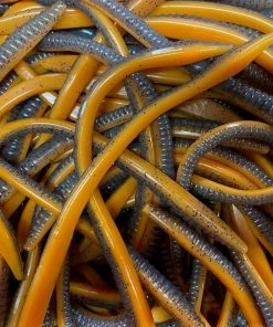 Lake Pro Tackle Soft Baits Papa's Worm Bar For Pond King