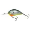 Hard Baits Bagley Sunny B05