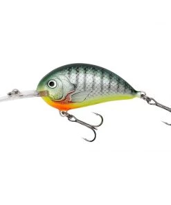 Hard Baits Bagley Sunny B05