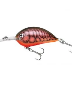 Hard Baits Bagley Sunny B05