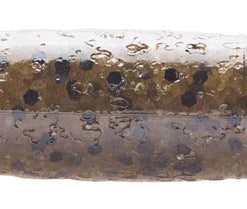 Ned Zman Finesse TRD