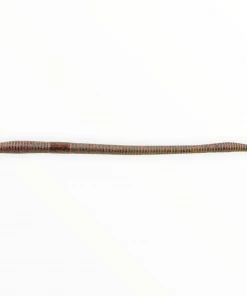 Xcite Baits Worms Xcite Maximus Worm