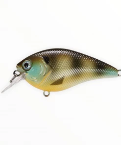 Xcite Baits Xcite XB-1