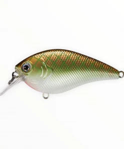 Xcite Baits Xcite XB-1