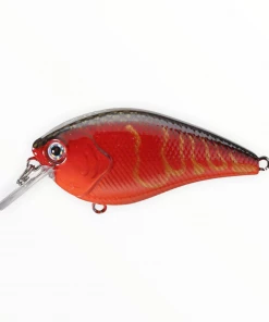 Xcite Baits Xcite XB-1