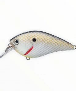 Xcite Baits Xcite XB-1
