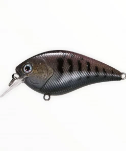 Xcite Baits Xcite XB-1