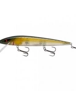 Jerkbaits Smithwick Elite 8 Rogue
