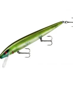 Smithwick Perfect 10 Rogue Jerkbaits
