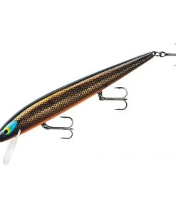 Smithwick Perfect 10 Rogue Jerkbaits