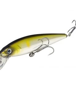Strike King KVD Jerkbait