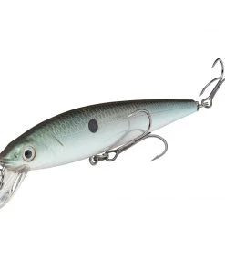 Strike King KVD Jerkbait