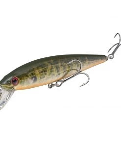 Strike King KVD Jerkbait